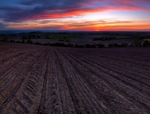 Sonnenuntergang Triebenberg